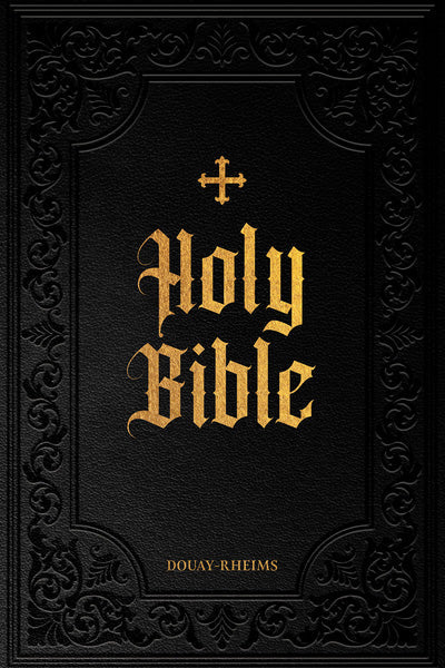 Douay-Rheims Bible Large Print Edition